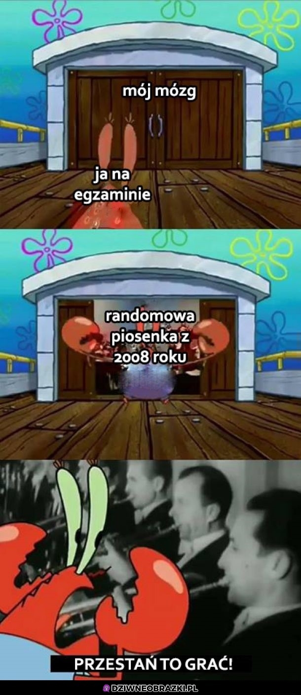 Mózg na egzaminie