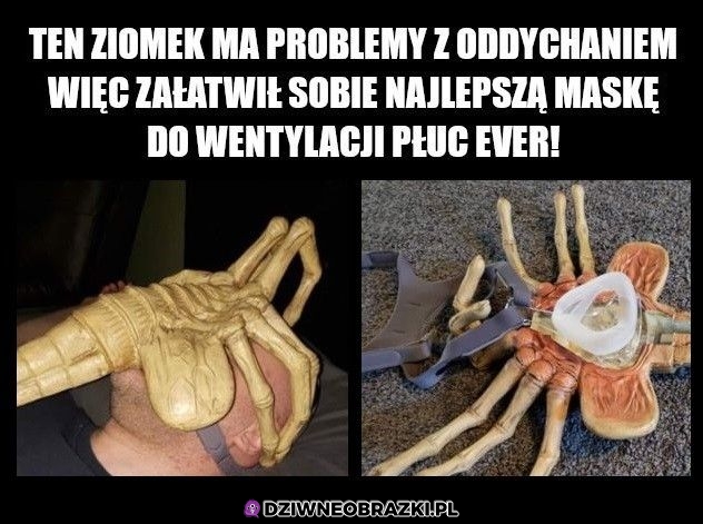 Kozacka!