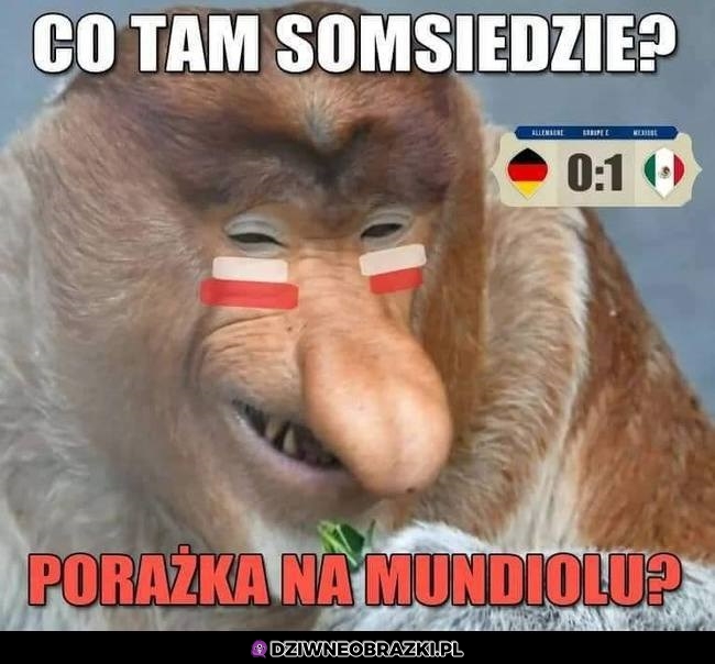 Co tam somsiedzie?