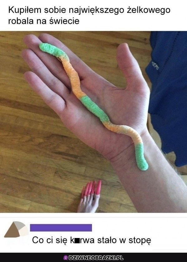 Robalek