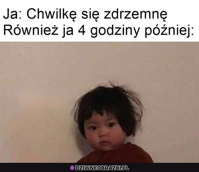 Krótka drzemka