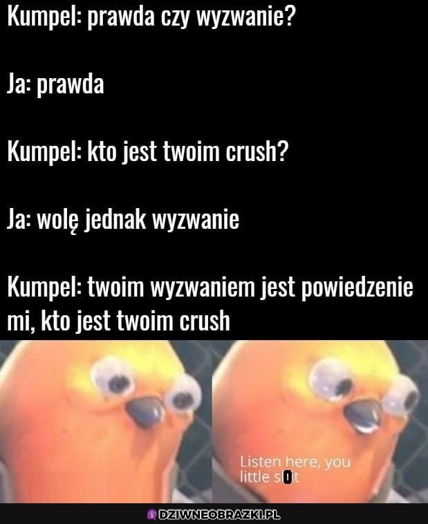 Szach mat