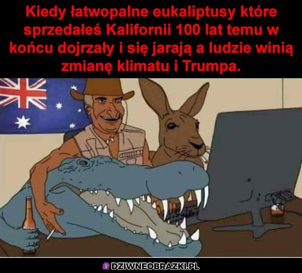 Plan zaczyna działać