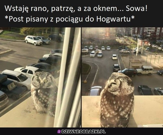 A więc może i dla mnie jest nadzieja