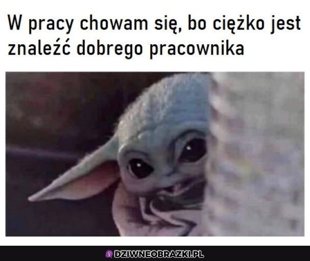 Właśnie to robię