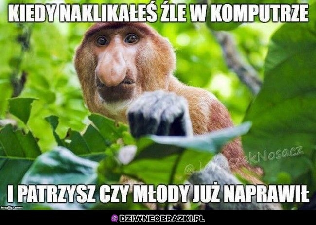 Kiedy źle naklikałeś