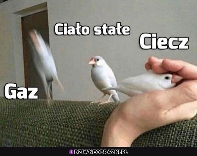 3 stany skupienia