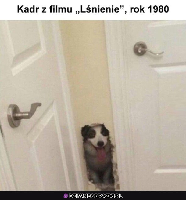 Nieznane ujęcie