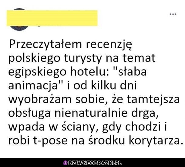 Recenzja