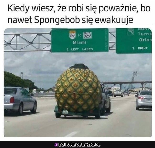 Robi się poważnie