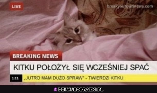 Ważne info