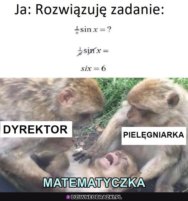 Rozwiązywanie zadanek