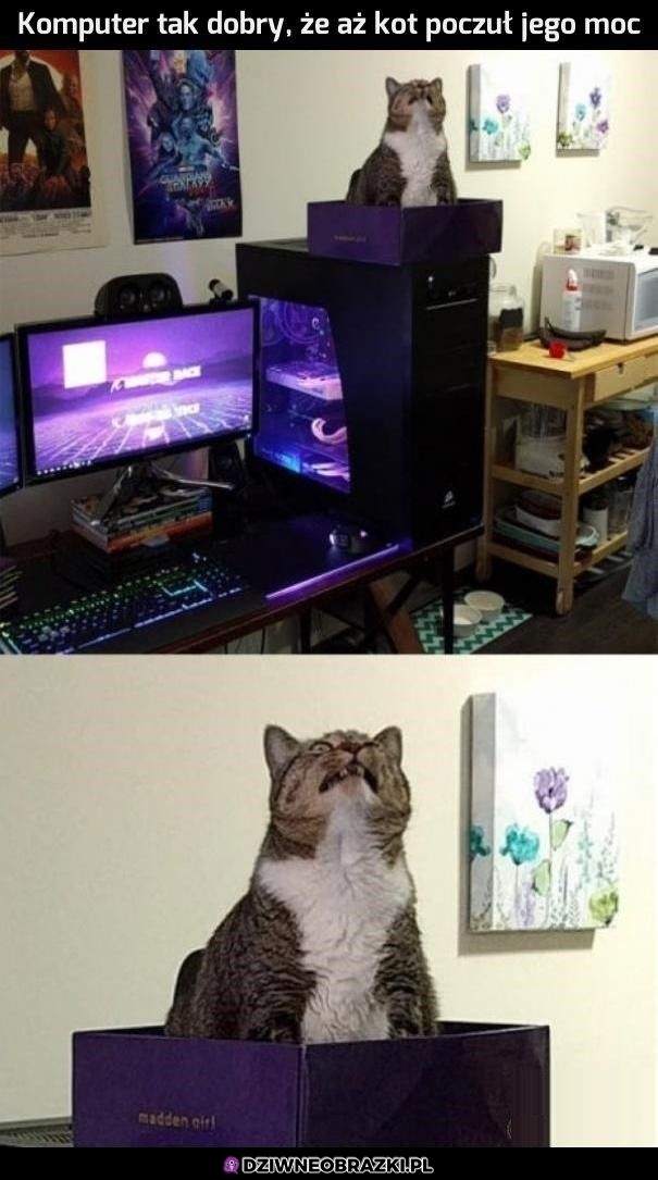 Poczuł moc