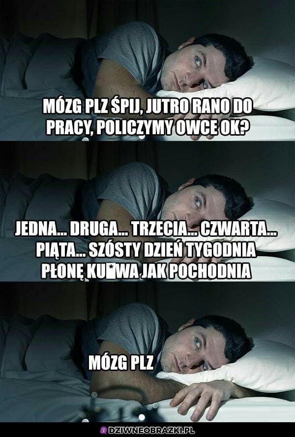 Mózgu proszę