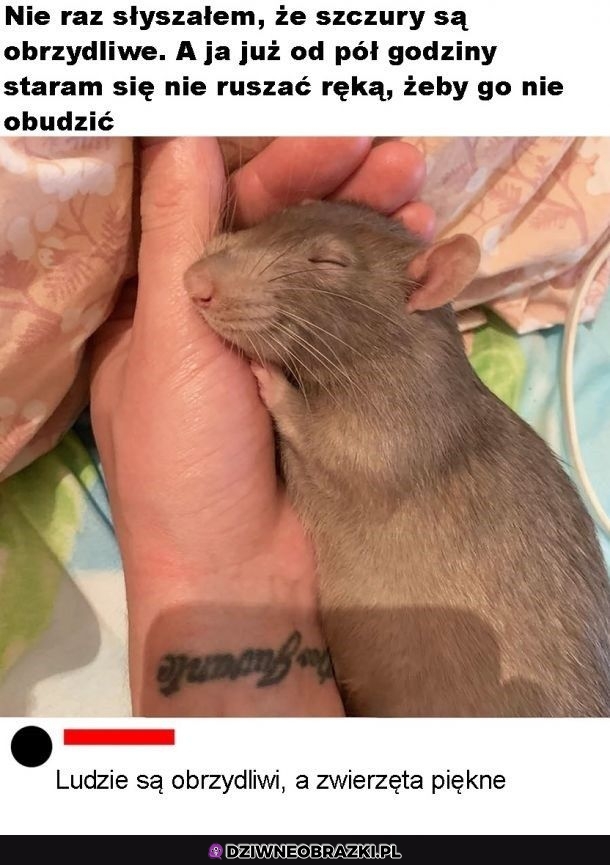 Właśnie