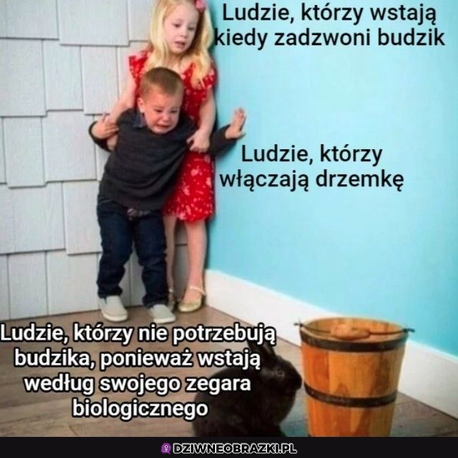 Prawdziwe hardkory