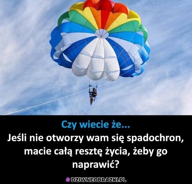 Ciekawostka