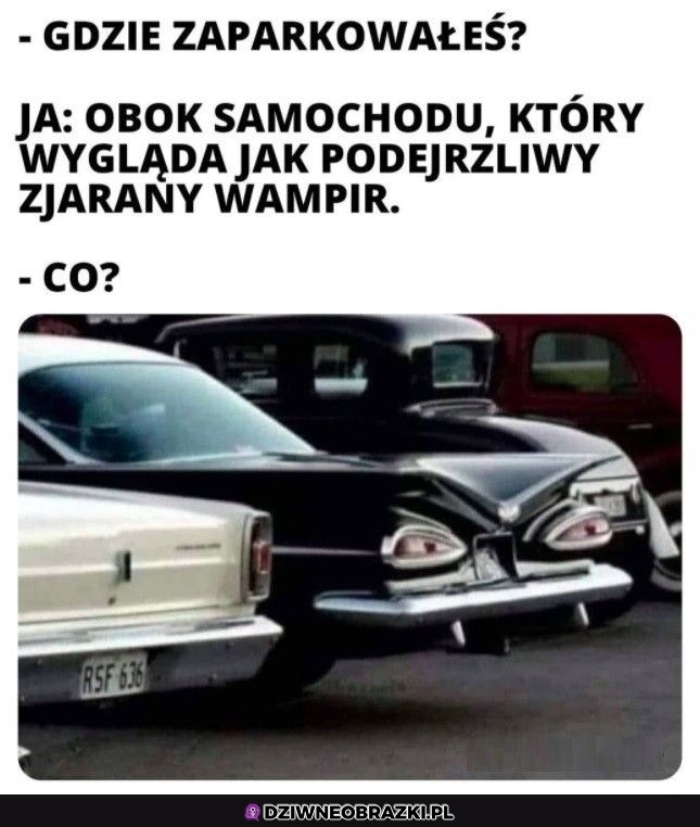 Właśnie tam