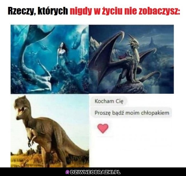 Nigdy tego nie zobaczysz