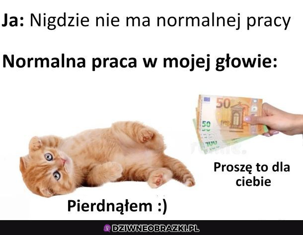 Normalna praca