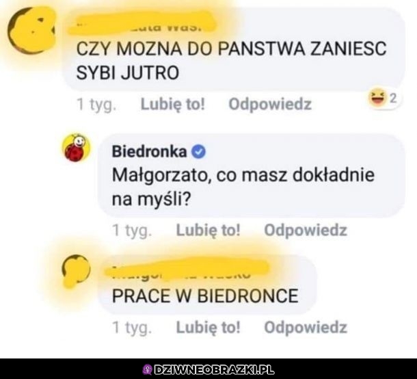 Można zanieść Sybi?