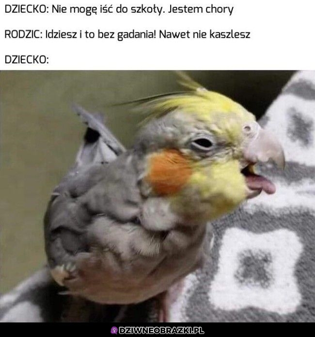 Jak to nie?
