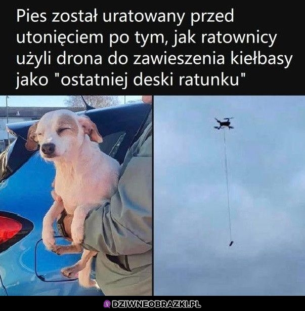 Dał się złowić