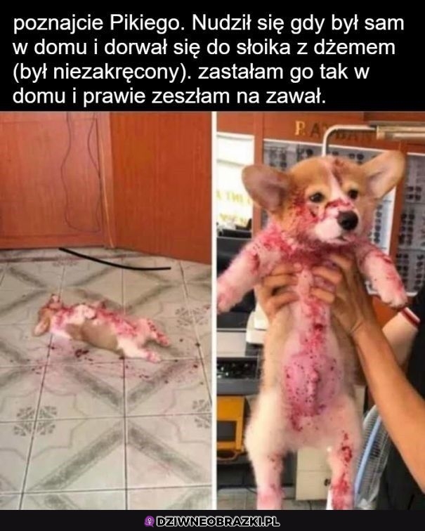 A to łobuz