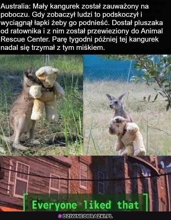 No i zajebiście
