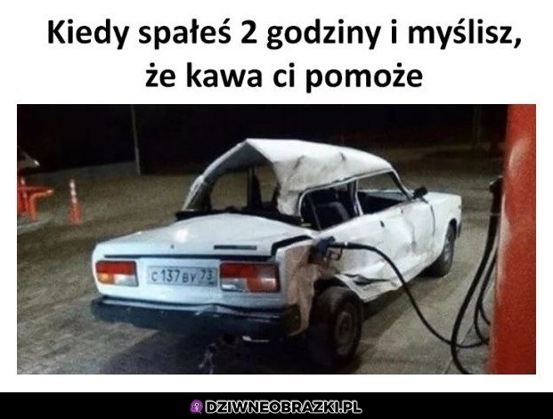 Tak to wygląda