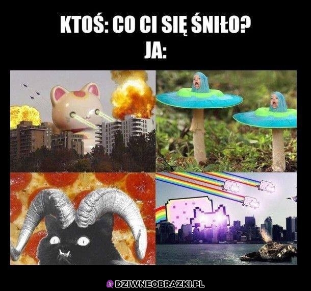 Normalka