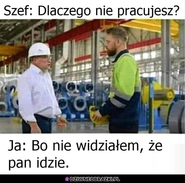 Tak jakoś wyszło