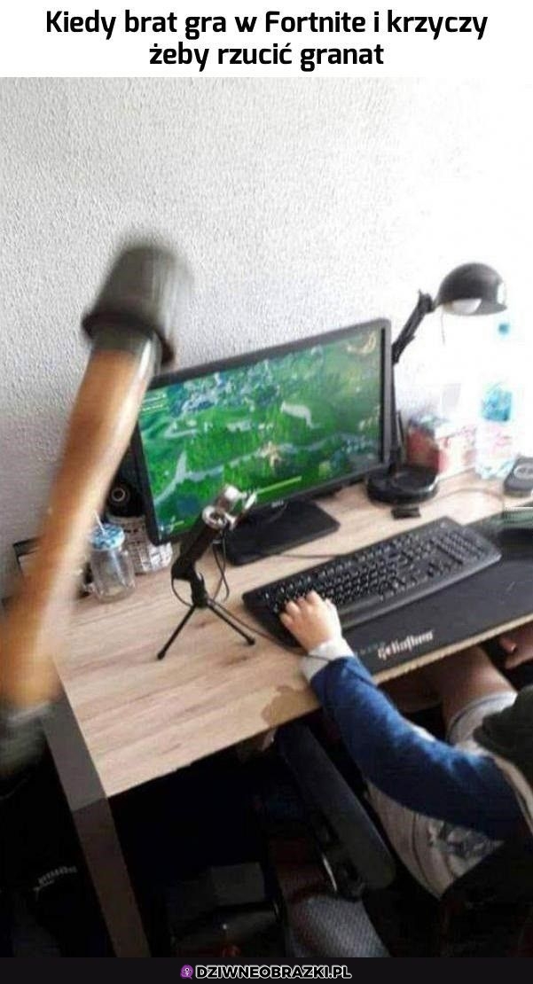 Łap
