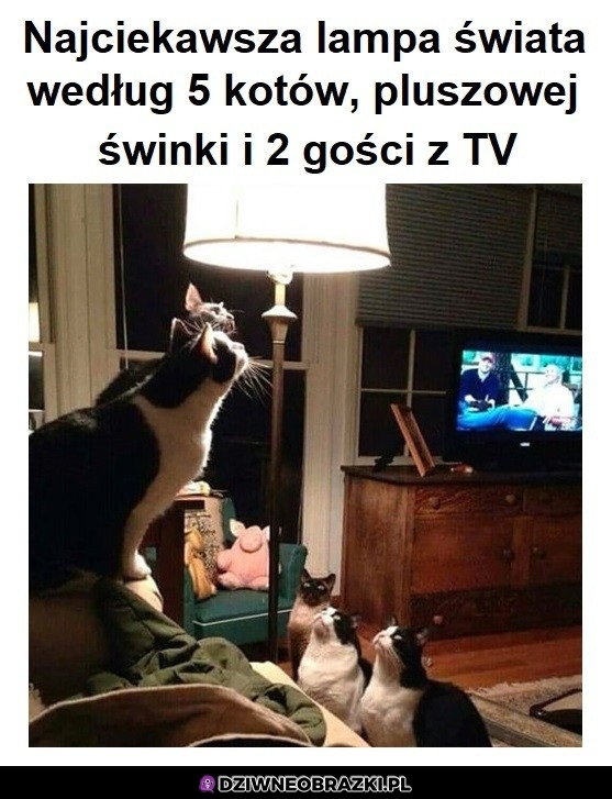 Lampa