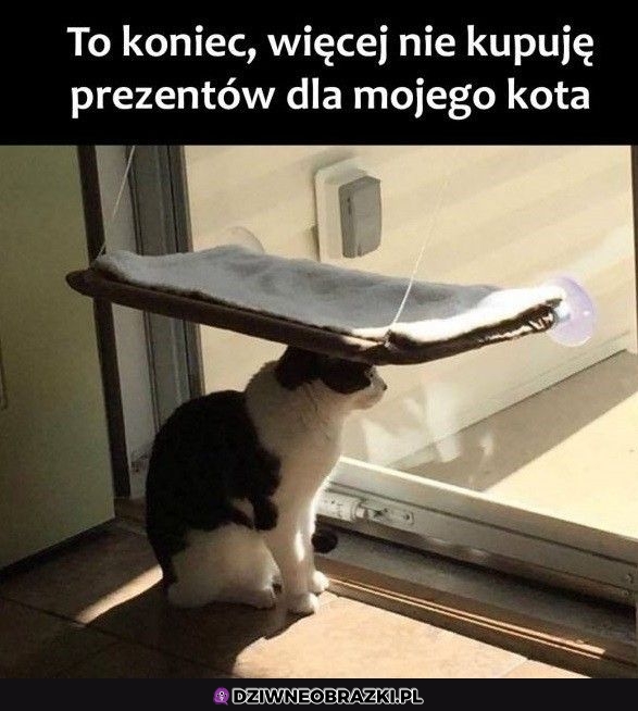 Przecież z tego korzysta