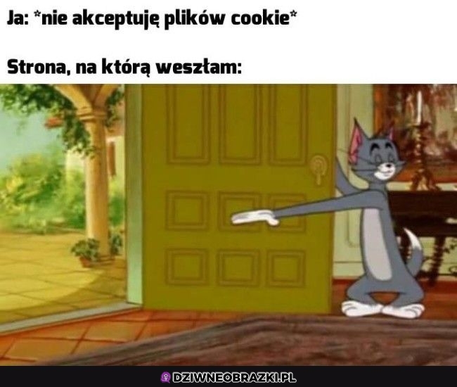 Zapraszam