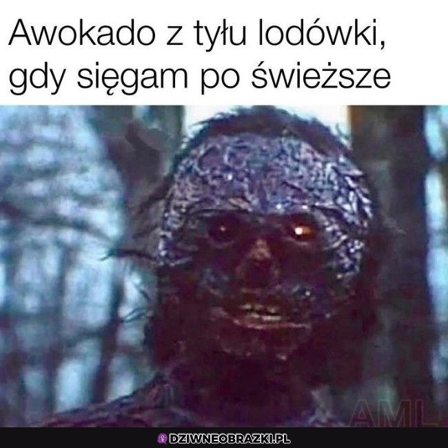 Taki jego wygląd