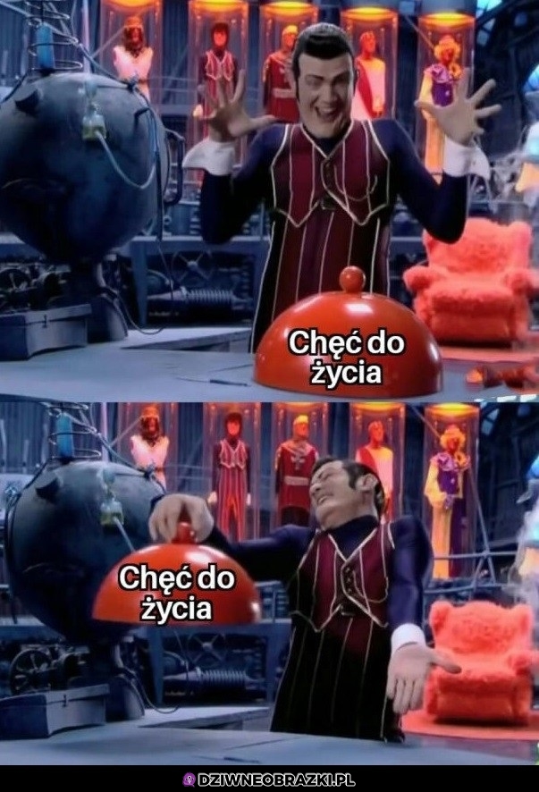 Mniej więcej tyle ich mam