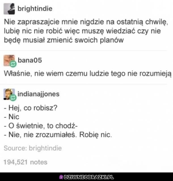 Zajęcie