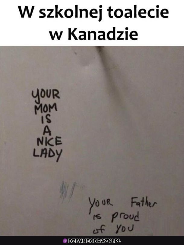 Kanadyjscy wandale