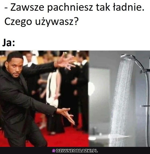 Właśnie tego