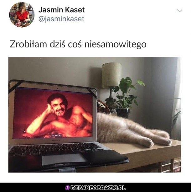Niesamowite