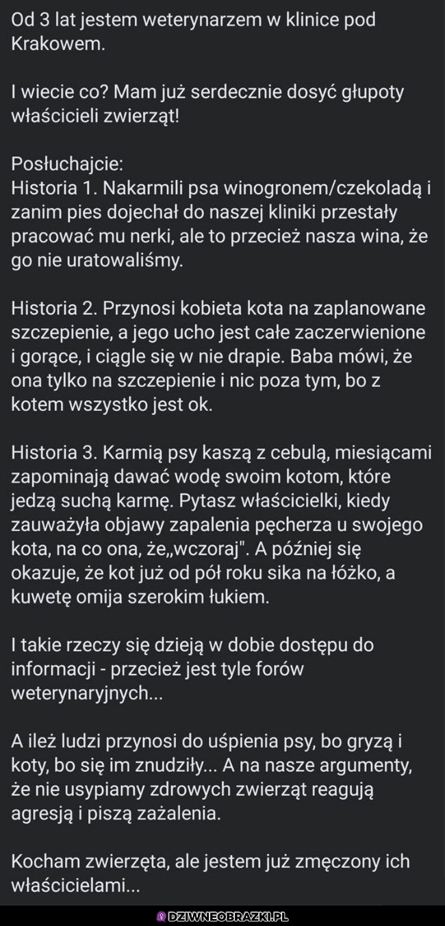 W tej pracy ludzie są najgorsi