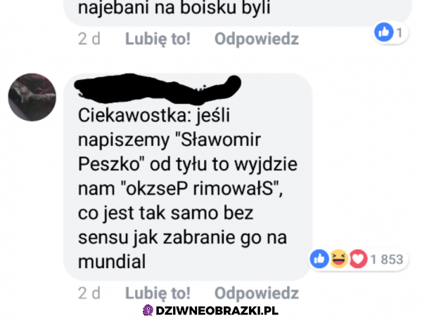 Ciekawostka