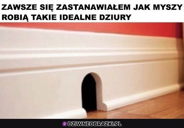 Dalej nie wiem jak to robiły