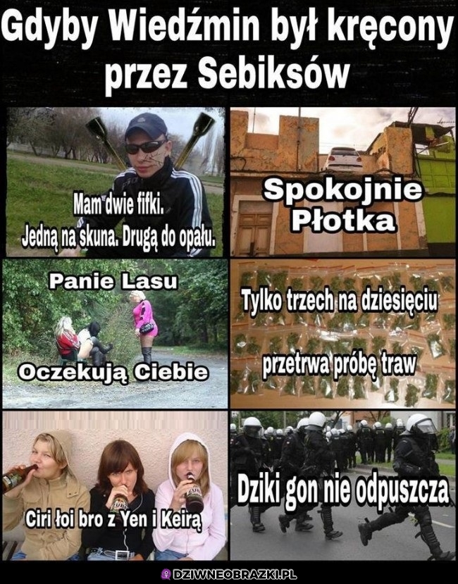 Sebiksowy wiedźmin