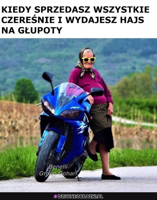 Big biznis