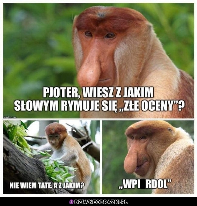 Rym do złych ocen