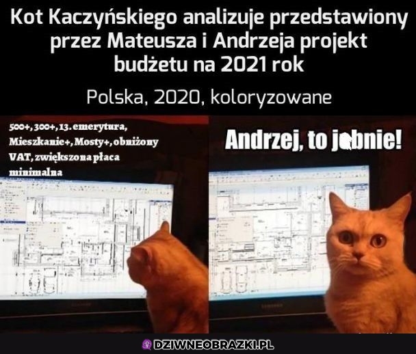Projekt budżetu