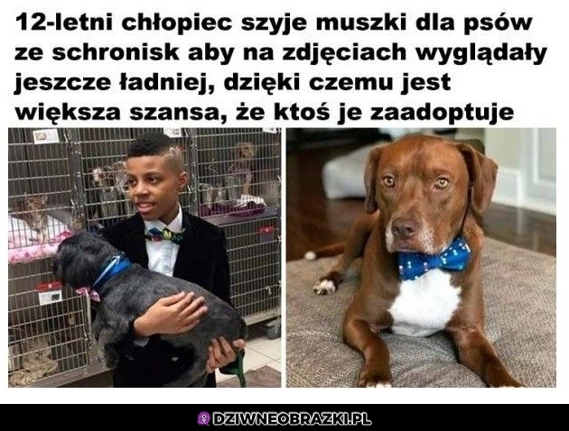 Szacun